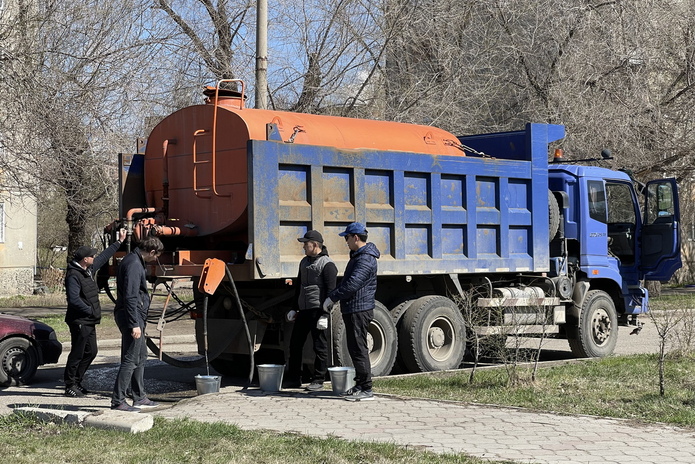 Возле Комендантки высадили 60 молодых сосен